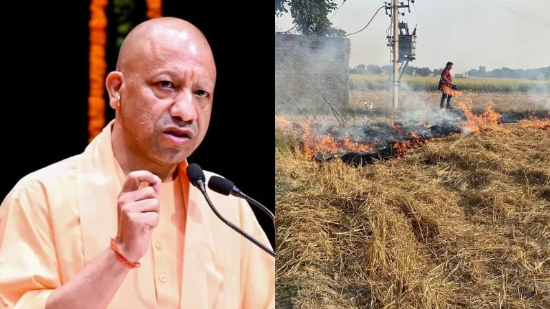 सीएम योगी ने पराली जलाने वालों को दिया सख्त निर्देश... गलती करने पर होगी बड़ी कार्रवाई और भरना होगा जुर्माना, जानें पूरा नियम