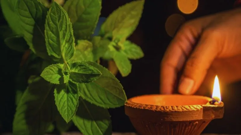 कब है अक्षय नवमी, जानें सही तिथि, पूजा विधि और इस दिन का खास महत्व