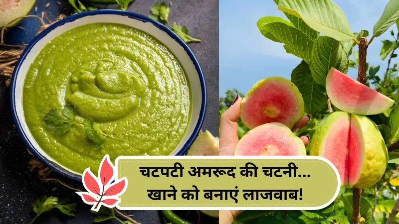 चटपटी अमरूद की चटनी : इस सिंपल रेसिपी से अपने रोज़मर्रा के खाने का ज़ायका करें दोगुना