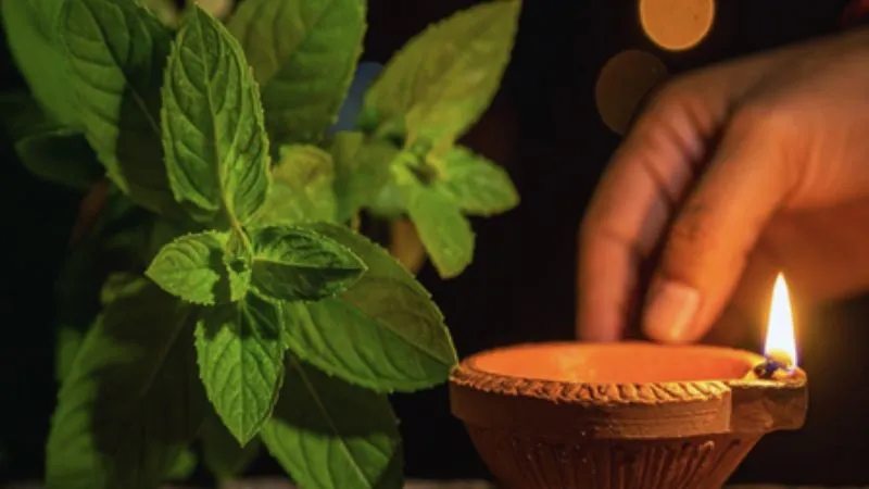 रमा एकादशी का व्रत क्यों होता है खास? पौराणिक कथा से समझें इस दिन का महत्व