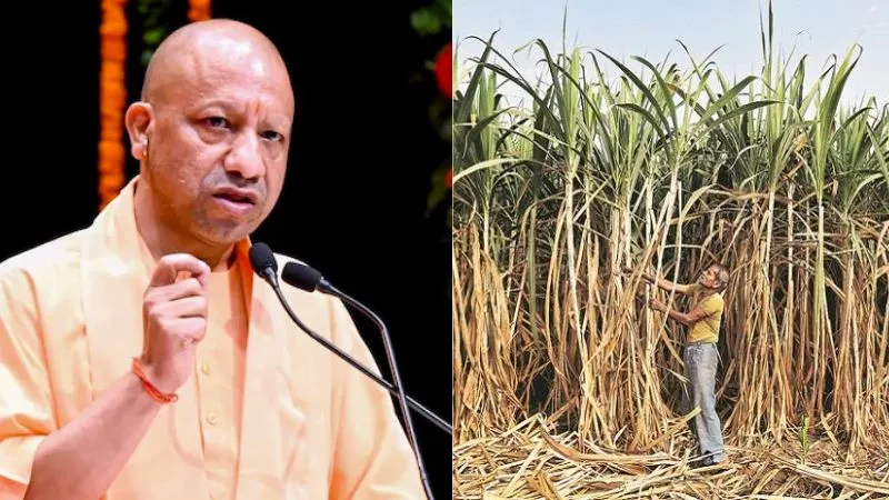 CM योगी का किसानों को बड़ा तोहफा, गन्ना के दाम में की बंपर बढ़ोतरी, अन्नदाताओं ने जताया आभार