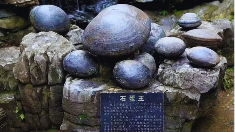 दुनिया की रहस्यमयी चट्टान, चीन के पहाड़ सच में अंडे दे रहे? सच्चाई जान खुले रह गए लोगों के मुंह!