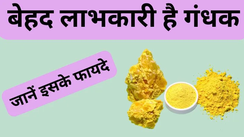 स्किन से लेकर बालों तक, बेहद लाभकारी है गंधक, सेवन की विधि जानना है जरूरी