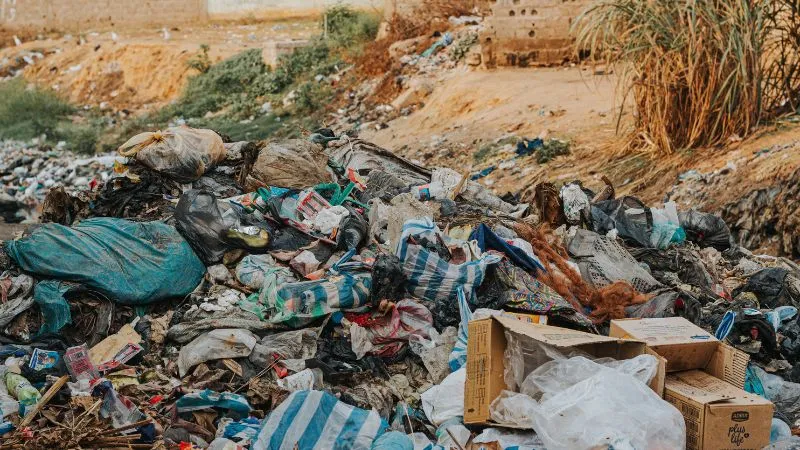 बेंगलुरु में कूड़ा फेंकने वालों की आएगी शामत, 'रिटर्न गिफ्ट' में घर बैठे मिलेगा कूड़ा-कचरा, साथ ही देना होगा जुर्माना