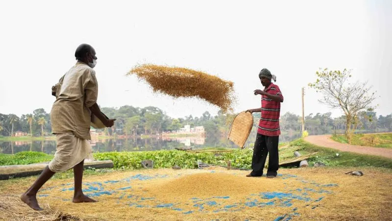 PM Kisan Yojana: 21वीं किस्त जल्द होगी जारी, कहीं आप लिस्ट से बाहर तो नहीं? ऐसे करें जांच