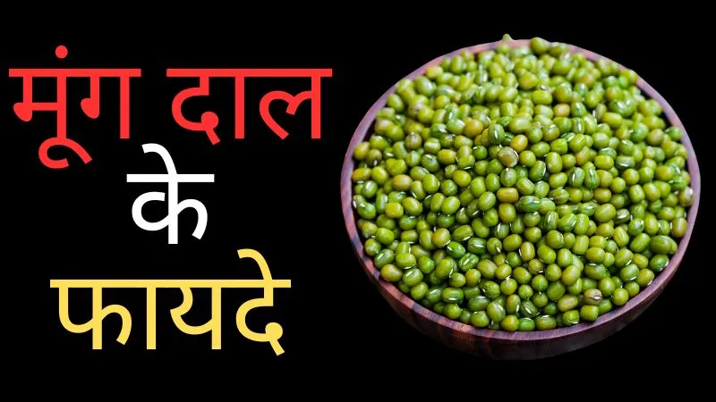 दिल को रखे स्वस्थ, कंट्रोल में रहेगी डायबिटीज, मूंग दाल हर उम्र के लिए फायदेमंद