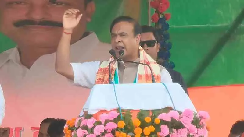 'चुन-चुनकर सभी ओसामा बिन लादेन को खत्म करना होगा', सीवान में गरजे असम CM हिमंत, जानें किस पर था निशाना