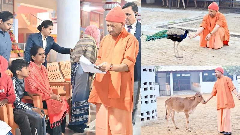 जनता दर्शन में सीएम योगी ने 300 लोगों की समस्याएं सुनी, अधिकारियों को दिए सख्त निर्देश, गौ-सेवा की और मोर को भी दुलारा