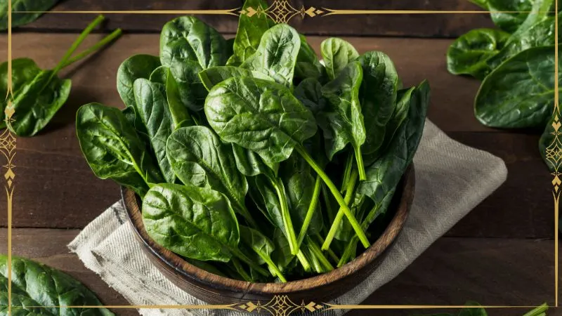 हड्डियों के दर्द से लेकर आंखों की रोशनी तक… सिर्फ सब्जी नहीं बल्कि सेहत का खजाना है पालक!