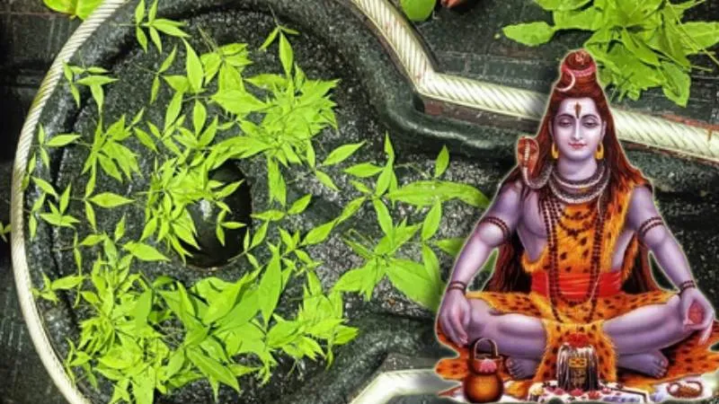 कुँवारी कन्याओं और विवाहित महिलाओं को मासिक शिवरात्रि व्रत रखने से होते हैं ये बड़े लाभ, जानें व्रत की पूजा विधि