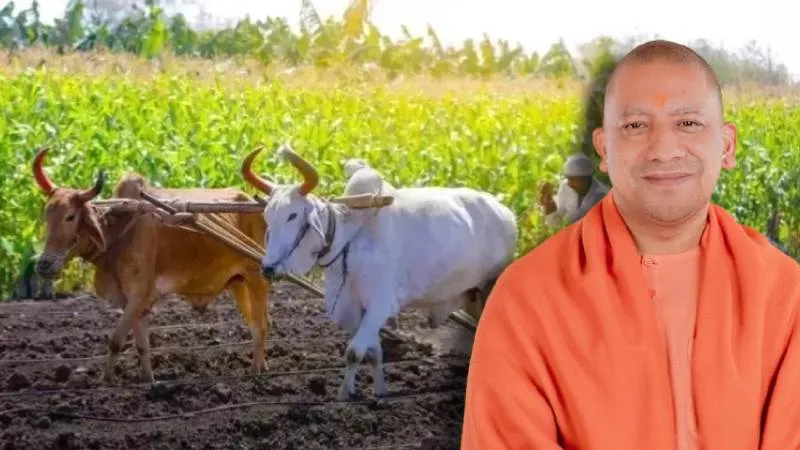 योगी सरकार की पारदर्शी नीतियों से किसानों को 48 घंटे में भुगतान, उत्तर प्रदेश बना आर्थिक रूप से सशक्त