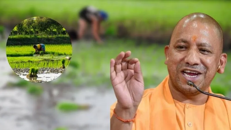 धान बेचने की टेंशन खत्म! योगी सरकार शुरू कर रही है फसल खरीद अभियान, मिलेगा बढ़ा हुआ MSP