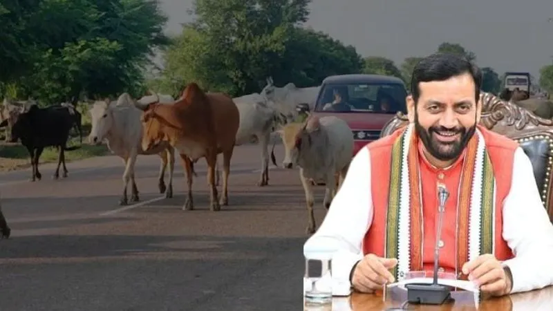 हरियाणा में आवारा पशु से हादसा? सरकार देगी 5 लाख तक का मुआवजा