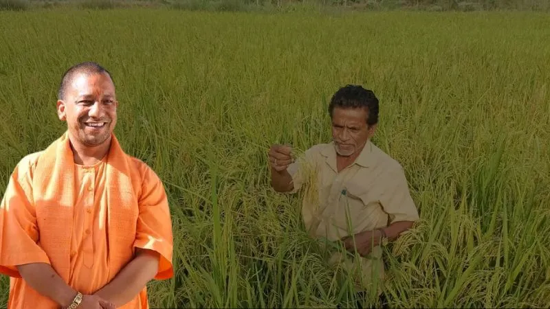 योगी सरकार की बड़ी उपलब्धि, किसानों से खरीदा 8.28 लाख MT धान, सिर्फ 48 घंटे में मिले रहे हैं पैसे