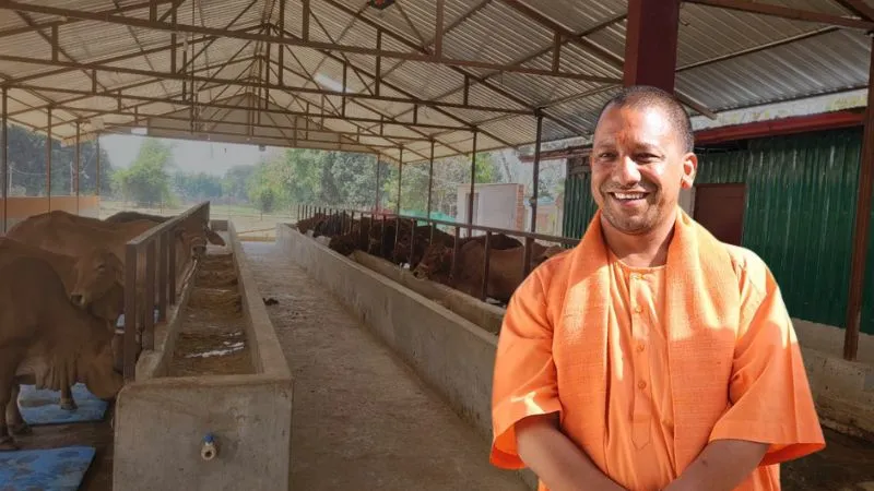 योगी सरकार की इस योजना से आत्मनिर्भर बनीं इंदु सिंह, लिखी ‘समृद्धि’ की नई कहानी