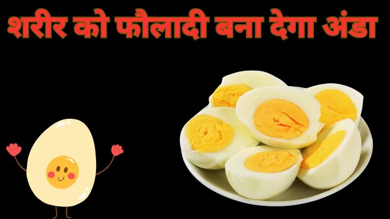 सर्दियों में अंडा हड्डियों से लेकर मांसपेशियों तक को देगा ताकत, जानें सेवन का सही तरीका