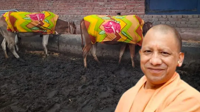 योगी सरकार का नया कदम, गौ माता को ठंड से बचाएंगे ये स्पेशल इको-थर्मल कंबल