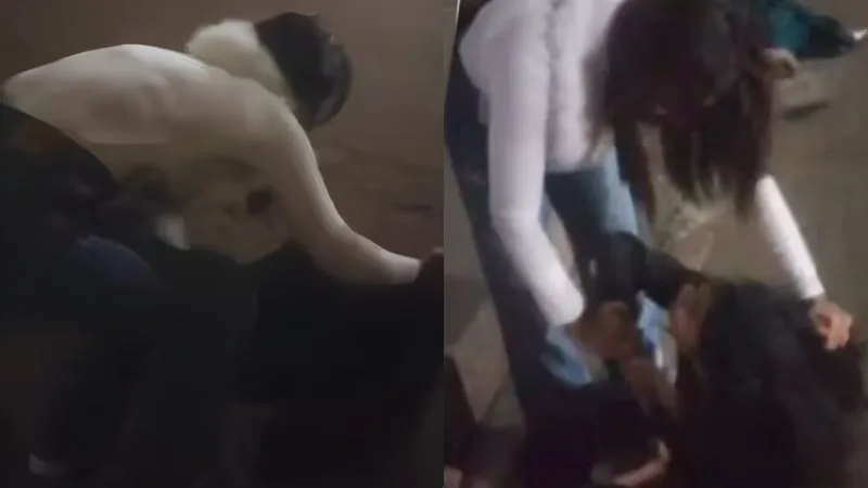 ‘मेरे बॉयफ़्रेंड को पहले भैया कहती थी, अब बाबू...,’ एक लड़की ने दूसरी लड़की को सड़क पर घसीट-घसीट कर पीटा, VIDEO VIRAL