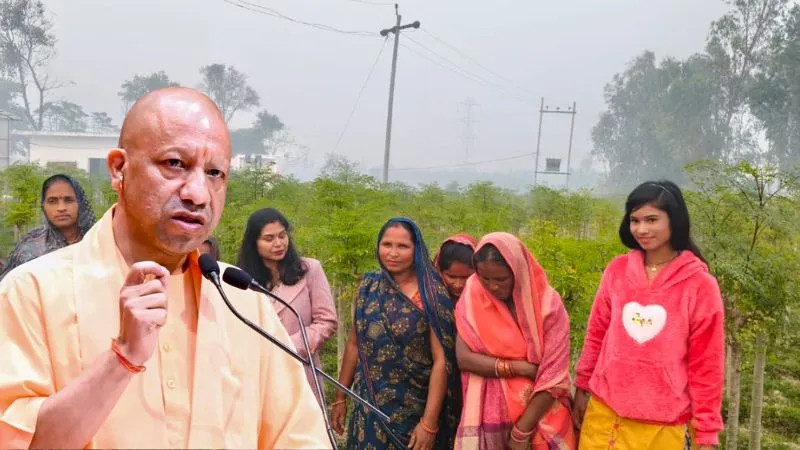 UP की 1,000 से ज्यादा महिलाएं 'सुपरफूड' मोरिंगा से बन गईं लखपति, साल भर की कमाई जान रह जाएंगे दंग