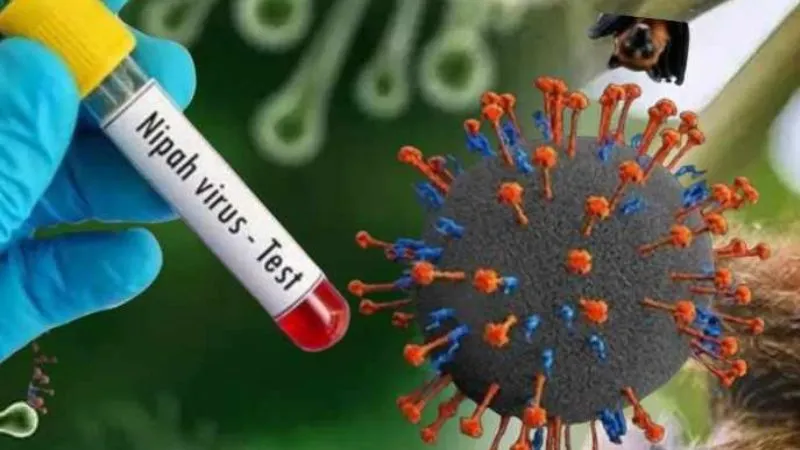 कोरोना से ज्यादा खतरनाक… बंगाल में निपाह वायरस के दो केस ने मचाया हड़कंप, केंद्र ने भेजी एक्सपर्ट टीम, जानें लक्षण