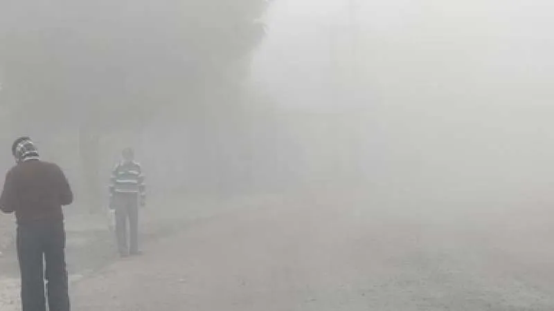 राजस्थान में शीत लहर का कहर, कई जिलों में स्कूलों की छुट्टियां बढ़ीं, बदले गए समय