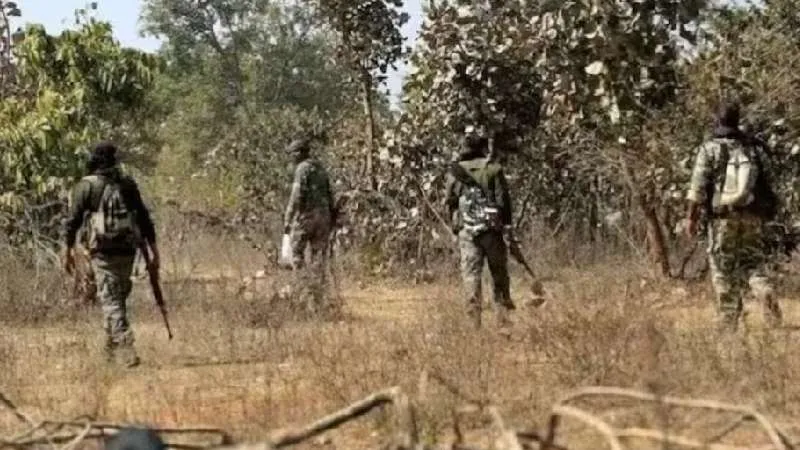 गरियाबंद के जंगलों में पुलिस-नक्सली मुठभेड़, सर्च ऑपरेशन जारी