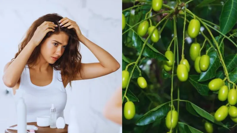 ये कोई आम बीज नहीं, सिर से जूं को तुरंत करे खत्म, खुजली और डैंड्रफ से भी मिलेगी राहत, बस जान लें कैसे करें इस्तेमाल