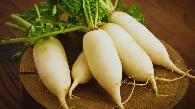 सर्दियों में मूली खाना बेहद फायदेमंद, जानें कब, कितना और कैसे खाएं ताकि छू मंतर हो जाए पेट की चर्बी
