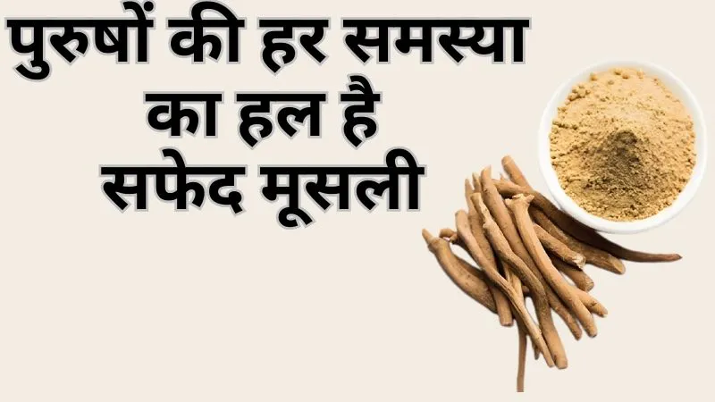 टेस्टोस्टेरोन से हैप्पी हार्मोन तक, पुरुषों की हर समस्या का हल है सफेद मूसली, फायदे जानकर हो जाएंगे हैरान