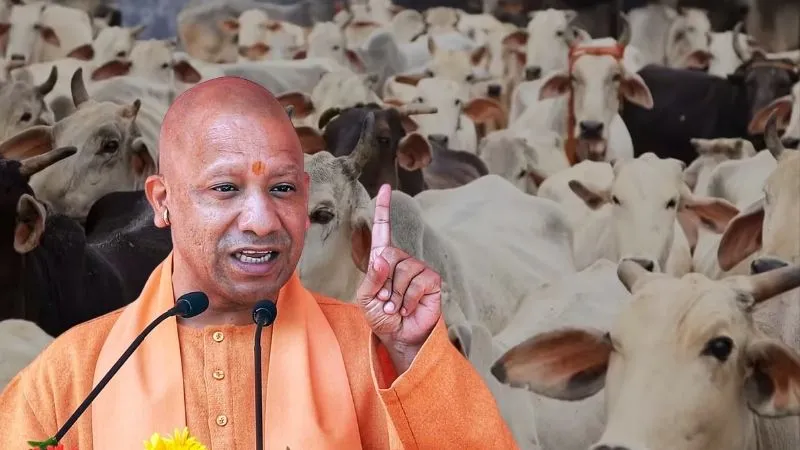 CM योगी का विजन, गाय बनेगी मजबूत अर्थव्यवस्था की रीढ़, 26 से अधिक लगाए गए CBG प्लांट, गोबर से होगी 500 करोड़ की बचत