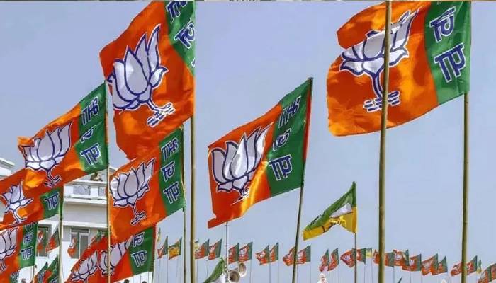 दिल्ली विधानसभा चुनाव के लिए बीजेपी ने जारी की प्रत्याशियों की पहली लिस्ट, दो पूर्व सांसद भी होंगे उम्मीदवार