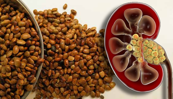 एक दाल जो पेट के अंदर के पत्थर को गला सकती है, जानिए विश्व की सबसे पुरानी दाल के बारे में जो है पोषक तत्वों से भरपूर