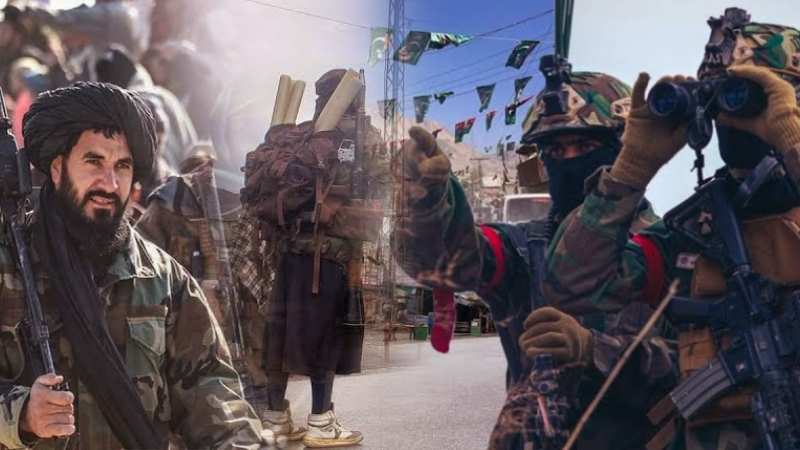 रोक दिए रास्ते, खाना हो गया बंद, Afghanistan से टकराकर Pakistan का घुटने लगा दम!