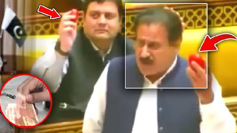 संसद में टमाटर हाथ में लेकर फूट-फूटकर रोया पाकिस्तानी सांसद, जानिए
