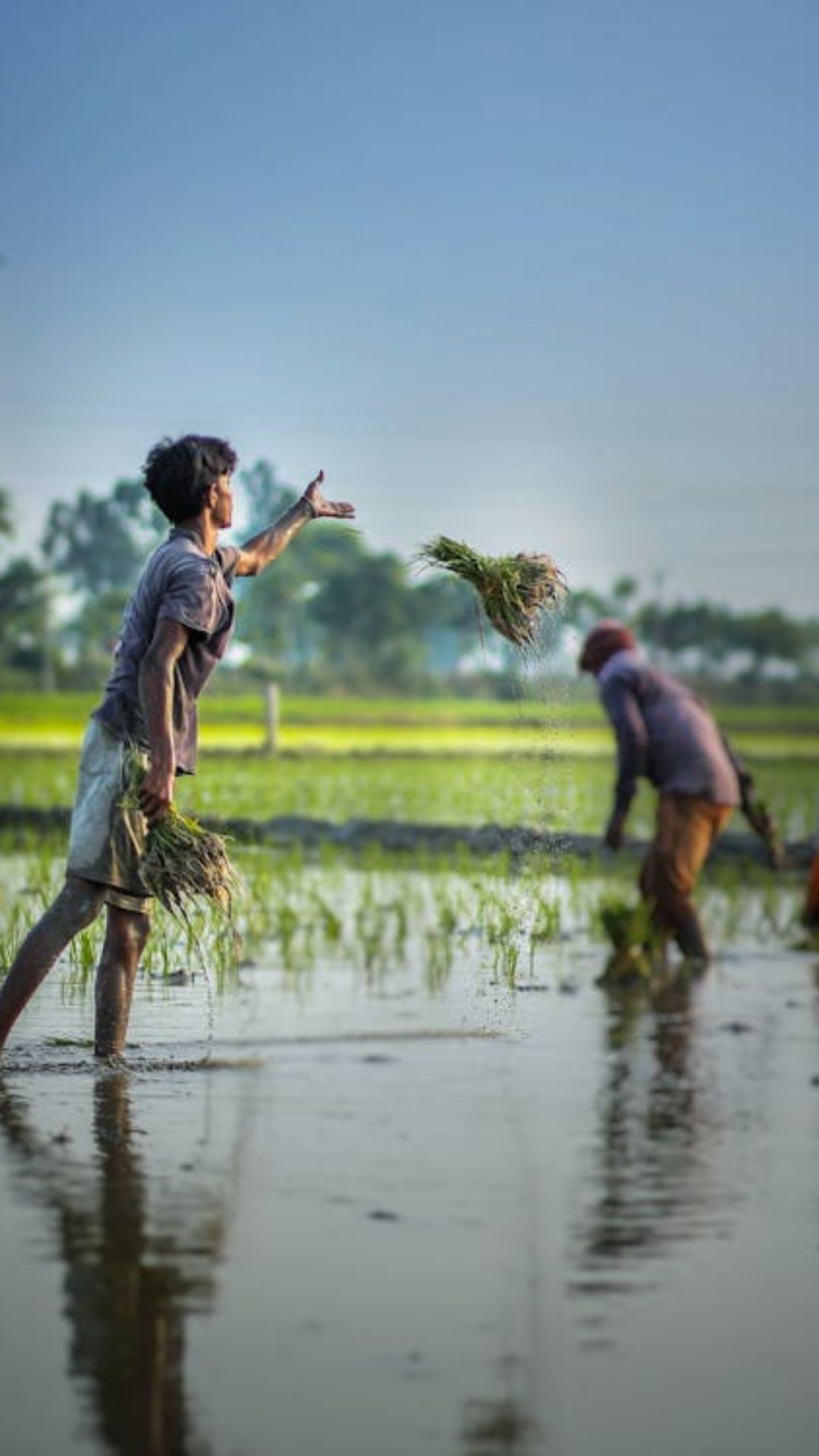PM kisan Yojana: 20वीं किस्त का इंतजार खत्म? जानें कौन-सी तारीख हो सकती है फाइनल